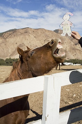 stanley flat rancho oso barbara santa horses around horsing laugh shares ca